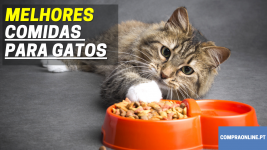 Melhor Comida para gatos
