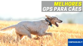 Melhor GPS para Cães