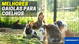 Melhor Gaiola para Coelhos
