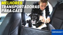 Melhores Transportadoras para cães