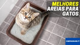 Melhores Areias para Gatos