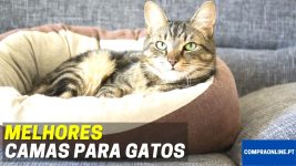 Melhores Camas para Gatos
