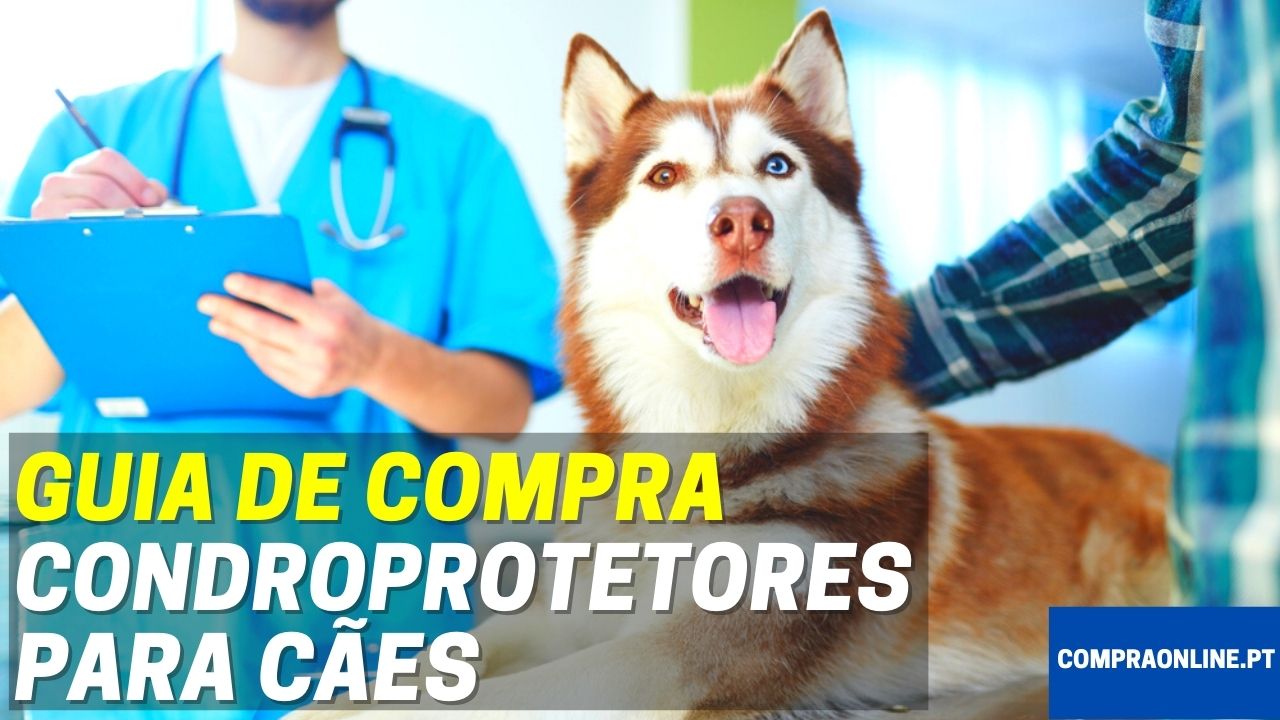 Guia de Compra de Condroprotetores para cães