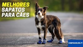 Melhores sapatos para cães