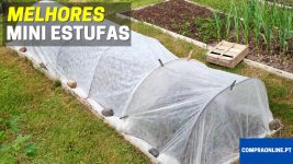 Melhores mini estufas de plantas