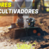 Top 6 Melhores Tintas de Interior | Pinte como um Profissional