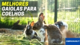 Melhor Gaiola Para Coelhos | Casas Para Coelhos