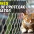 Melhores Toalhitas Para Cães | Top Escolhas