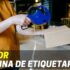 Colunas Harman Kardon | Quais são as Melhores?
