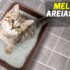 Melhor Caixa De Areia Para Gatos | WC Para Gatos