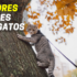Melhor Espelho Retrovisor para bebé | Criança Feliz