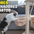 Melhor WC Gato Automático | Top Escolhas