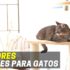 Melhor Fonte Para Gatos | Bebedouros