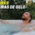 Dispensadores de Comida Automáticos Petlibro | Como Escolher o Melhor?