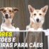 Melhores Camas Para Cães | Top Escolhas
