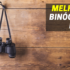 Melhores Binóculos Vortex | Qual é a Escolha Certa?