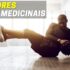 Bola Suiça: Quais São as Melhores?