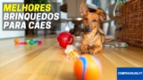 Melhores Brinquedos Para Cães | Top Escolhas