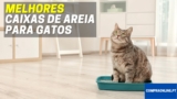 Melhor Caixa De Areia Para Gatos | WC Para Gatos