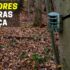 Melhores Gaiolas Para Hamsters | Gaiolas para roedores