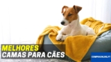 Melhores Camas Para Cães | Top Escolhas