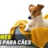Melhores Cercas, Vedações e Barreiras Para Cães