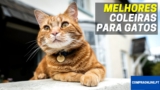 Melhor Coleira Para Gatos | Top Escolhas