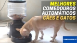 Melhor Comedouro Automático Para Cães e Gatos