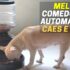 Melhor Areia Para Gatos | Adeus Mau Cheiro