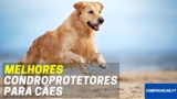 Melhores Condroprotetores Para Cães | Top Escolhas