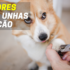 Melhor Espelho Retrovisor para bebé | Criança Feliz