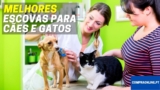 Melhores Escovas Para Cães e Gatos | Top Escolhas