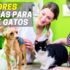 Melhor Malte Para Gatos | Pastas de Malte Para Gatos