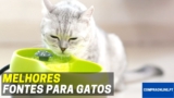 Melhor Fonte Para Gatos | Bebedouros