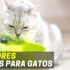 Melhor WC Gato Automático | Top Escolhas