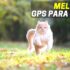 Melhor Transportadora Para Cães | Caixas de transporte Para Cães