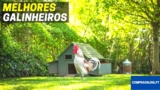 🐔 Melhores Galinheiros | Capoeiras Para Galinhas