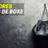 Sacos de Boxe: Quais São os Melhores