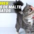 Melhores Escovas Para Cães e Gatos | Top Escolhas