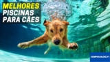 Melhor Piscina Para Cães | Top Escolhas