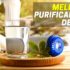Melhores Microondas Baratos | Top Escolhas