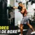 Melhores Luvas de Boxe | Top Escolhas