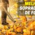 Melhor Máquina de Fazer Gelo | Máquinas de Gelo