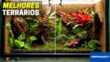 Melhores Terrários Para Répteis, Anfíbios, Roedores, Aracnídeos e Insetos