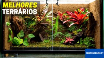 Melhores Terrários Para Répteis, Anfíbios, Roedores, Aracnídeos e Insetos