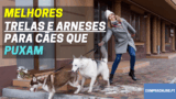 🐕 Melhores Trelas e Arneses para Cães Que Puxam