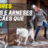 🧹 Melhores Mini Aspiradores | Diga Adeus ao Pó e Sujidade