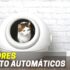 Melhor Fonte Para Gatos | Bebedouros
