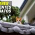 Melhores Toalhitas Para Cães | Top Escolhas